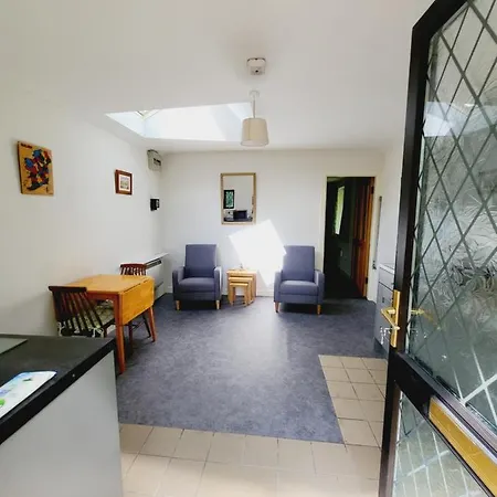 Oak 3 Km From Rock Of * Cashel (Tipperary)