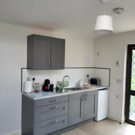 Oak 3 Km From Rock Of Tatil Evi Cashel (Tipperary)