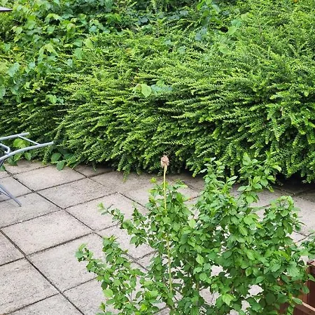 Vakantiehuis Oak 3 Km From Rock Of