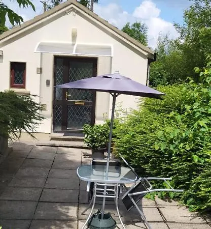 Oak 3 Km From Rock Of Tatil Evi Cashel (Tipperary)