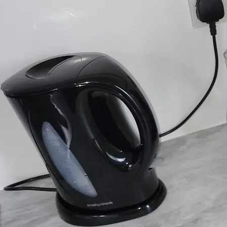 Oak 3 Km From Rock Of