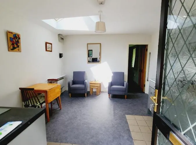 Oak 3 Km From Rock Of * Cashel (Tipperary)