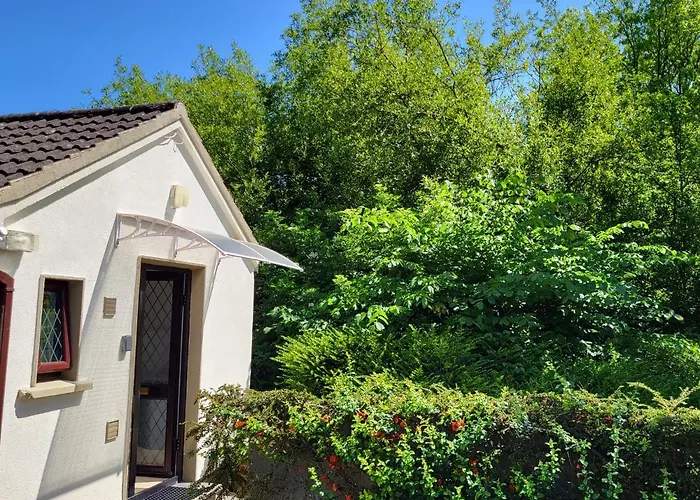 Oak 3 Km From Rock Of 卡舍尔