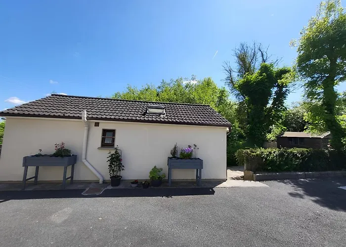 Oak 3 Km From Rock Of *